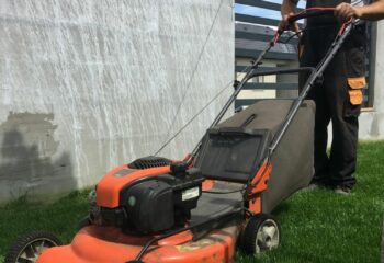 házikert fűnyírása