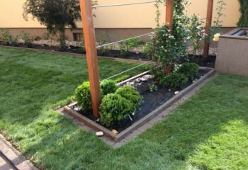 kialakított beültetett kert