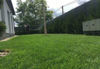 növényvédelmi kezelés gombás betegségek ellen