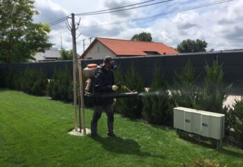 örökzöldek permetezése motoros háti permetezővel