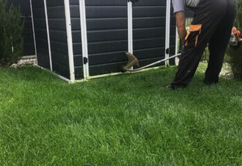 szegélyezés motoros szegély nyíróval