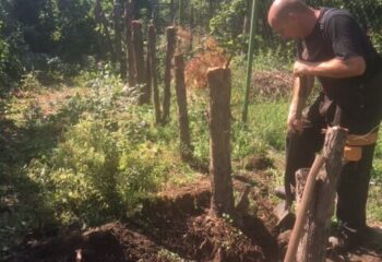 tönkölés megkezdése