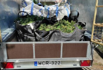 zsákolt zöldhulladék szállítása pótkocsival